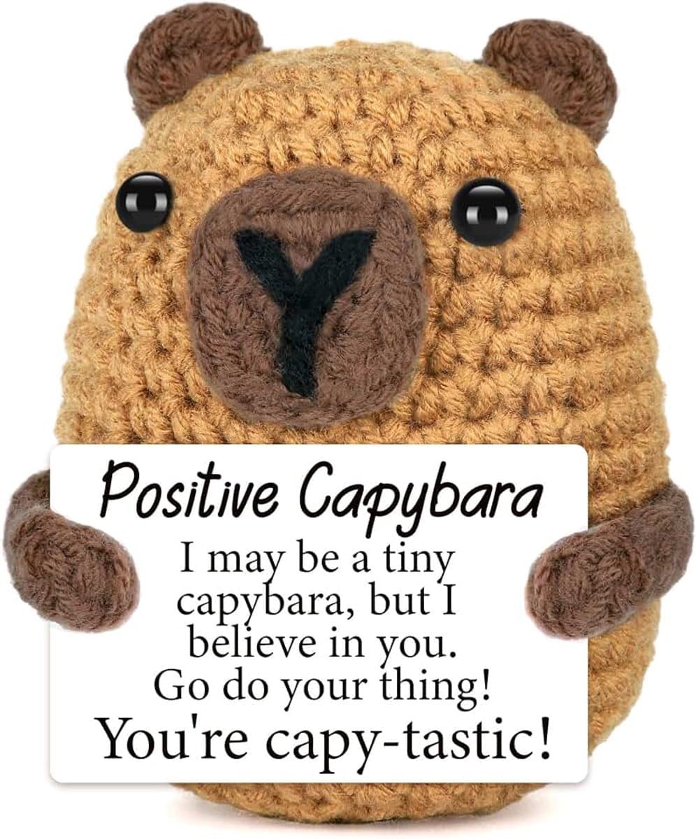 Hug Mutmacher Geschenk Capybara Haakdier, Positieve Geschenken, Emotionele Ondersteuning Dier Luiaard Alternatief, Afscheidsgeschenk Collega's — afbeelding 1