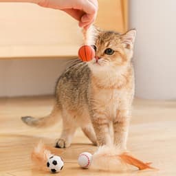Katten Interactief Huisdier Voor Speels Plagen En — thumbnail 3