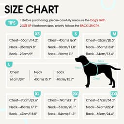 Herstelpak voor grote honden, rekbaar ademend chirurgisch pak voor honden, hondenpak na operatie, anti-likken herstelpak voor labrador golden retriever husky groen, 2XL — thumbnail 2