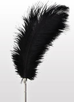 Feather Tickler — thumbnail 5