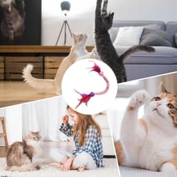 Bijttouw voor kattenspeelgoed, katten, van verentouw met – bijtspeelgoed, kittens, binnen en buiten, elst — thumbnail 4