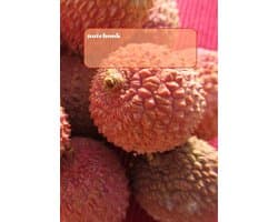 Tagebuch / Notizbuch - Litschi: DIN A4, liniert