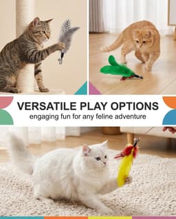 Reserveonderdelen voor kattenhengel, 6 stuks, reservekoppen met veren, 6 verschillende modellen voor interactieve spellen, stimuleert het jachtinstinct tegen verveling — thumbnail 5