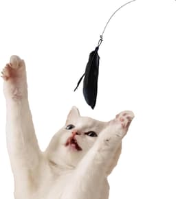 2 stuks kattenhengel, stabiel met zuignappen, interactief kattenspeelgoed, kattenhengel, speelgoed met zuignap, natuurlijk interactief kattenspeelgoed voor katten — thumbnail 3