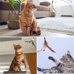 8 stuks kattenveren speelgoed met belletjes, vederteaser kattenspeelgoed, vervangende vullingen met belletjes, sporter speelspeelgoed voor kitten en kat — thumbnail 3