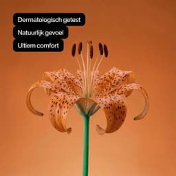 Smooth Condooms - 24 Stuks - Premium Kwaliteit - Discrete Verzending - Climax Change — thumbnail 4