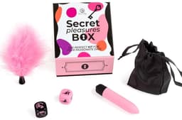 Secret Play - Pleasures Box For Couples: Dice + Vibrating Bullet + Feather Pen — thumbnail 3