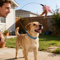 Kattenhalsband met Veren voor Katten Interactieve Verenstok Verveelt Zich | Kattenspeeltje met Veren Halsband voor Buiten, Tuin, Park, Thuis, Training, Dagelijks Vermaak — thumbnail 2