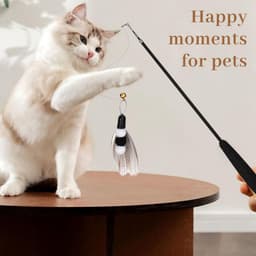 9 stuks interactief kattenspielgoed met veren, 1 uitschuifbare kattenhengel en 8 vervangende koppen met insecten en veren met belletjes, hoogwaardig voor binnenshuis katten en kattenbabys — thumbnail 3