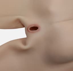Siliconen Vaginabroek met Benen 105 cm- Vagina voor mannen- Open Anus-Crossdresser-Travestie- Siliconen onderlichaam-Bodysuit — thumbnail 3