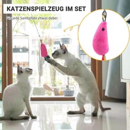 Kattenhengelset met stalen koord, interactief kattenspeelgoed, hengel met veer/muis/worm voor katten — thumbnail 4