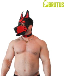 Brutus Vegan Puppy Collar - Zwart/Rood — thumbnail 5