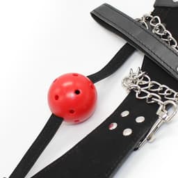 Nooitmeersaai - Zwarte halsband met rode ball gag en riem — thumbnail 2