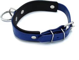 Kiotos - Zwart/Blauwe Lederen Collar met Grote O-Ring — thumbnail 4
