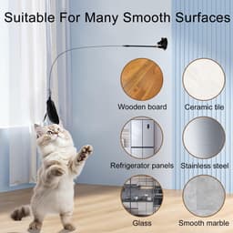 Spelen met veren voor katten, interactief kattenspeelgoed, interactief kattenspeelgoed met zuignap, voor binnen trainen — thumbnail 3