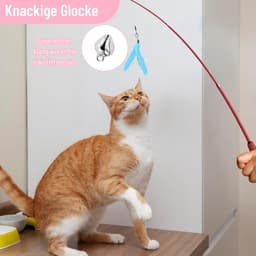 13 stuks kattenspeelgoedset, interactieve kattenspeelgoedveren, kattenhengel met 2 stuks inschuifbare, 11 kattenspeelgoed, reserveveren, zelfbezigheid met veer/bug/visbel — thumbnail 4