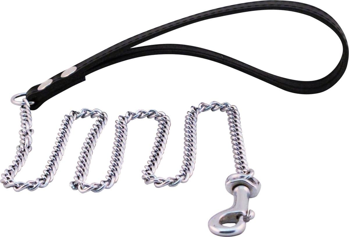 Mister B - Puppy Leash Chain - Puppy Leiband - Metalen Ketting met Leren Handvat — afbeelding 1
