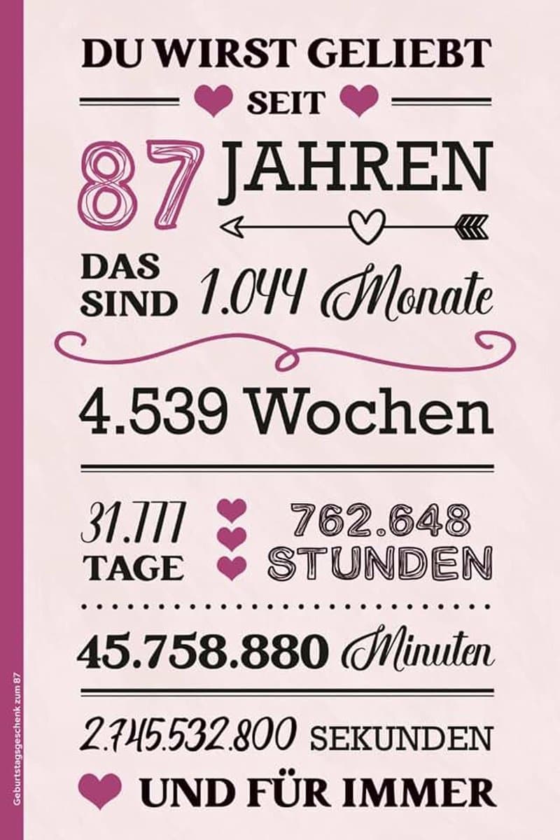 Zum 87: Notizbuch A5 liniert schönes Geburtstag Geschenk zum 87. Geb Buch für Notizen Geschenkidee für Erwachsene zur Geburtstagsfeier für 87 Jährige Alles Gute zum 87 zigsten — afbeelding 1