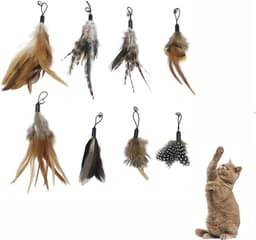 8 stuks veerspeelgoed voor katten, interactief speelgoed voor katten met reserveveren, speelgoed voor katten, veren, interactief speelgoed voor katten en kittens — thumbnail 1
