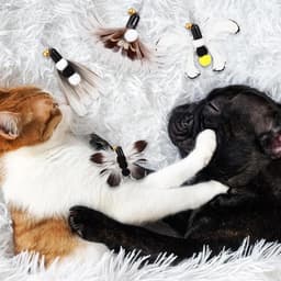 9 stuks interactief kattenspielgoed met veren, 1 uitschuifbare kattenhengel en 8 vervangende koppen met insecten en veren met belletjes, hoogwaardig voor binnenshuis katten en kattenbabys — thumbnail 5