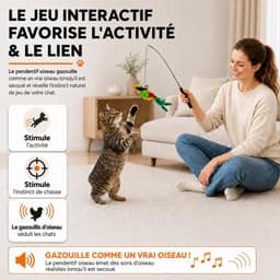 11 stuks kattenvisspeelgoed met veren, interactief kattenspeelgoed, veer, stabiel met schaalbare stangen en 10 stuks veer, vogel, worm, vervanging met klokken — thumbnail 5