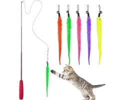 Kattenspeelgoed, intrekbaar natuurlijk veerstaafje, kattenspeelgoed met 5 stuks kattenhengel, vervangende worm, kattenspeelgoed