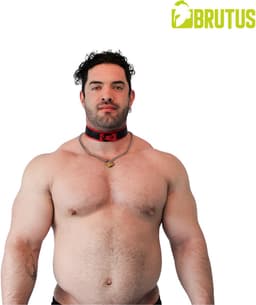 Brutus Vegan Puppy Collar - Zwart/Rood — thumbnail 4