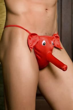Paris Hollywood Elephant - Erotische String met Olifant - Rood - One Size — thumbnail 2