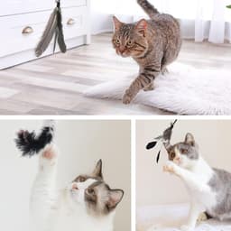 6 stuks kattenspeelgoed veren - reserveveren voor kattenhengel, veren met belletjes, speelgoed voor katten, zwart — thumbnail 5