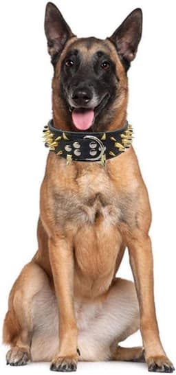 Hondenhalsband met spikes en studs 5 cm breedte stijlvolle lederen hondenhalsbanden voor middelgrote en grote honden Pitbull, Labrador, Boxer Rottweiler Duitse Herder... (XL, Zwart-2) — thumbnail 5