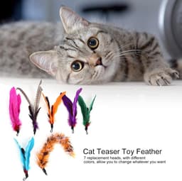 Feather Toy, Feather Toys voor Binnenkatten 7 Stks Pet Cat Teaser Dangler Rod Stick Stick Veervervanging Katten Katten Leveringen voor Alle Rassen en Soorten — thumbnail 5