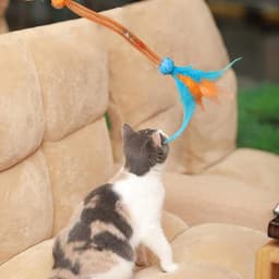 Kattenspeelgoed met veren, bijttouw voor kattenspeelgoed, veertouwspeelgoed met kat, teaser voor verveelde kittens, kleine en middelgrote kittens — thumbnail 5