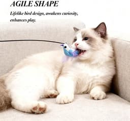 3 vervangbare kattenhengelspeelgoed, vogels in verschillende vormen, met bel uitgeruste kattenveer speelgoed en een telescopische hengel - perfect voor katten om te — thumbnail 3