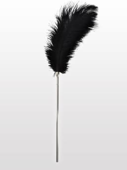 Feather Tickler — thumbnail 4