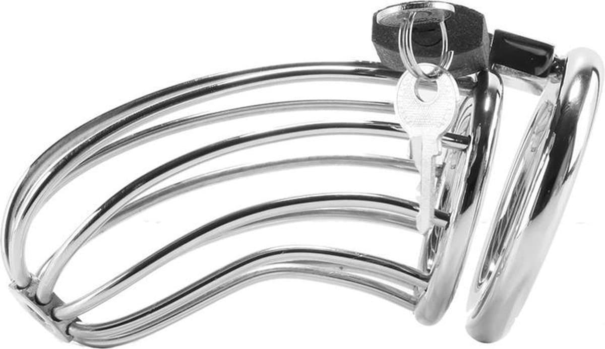 METAL HARD | Metal Hard Cock Bird Cage Chastity — afbeelding 1
