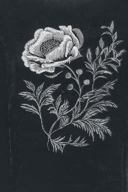 Killstar Nocturne Nights - Ravens Rose Corset Dames Korset - zwart - XS — thumbnail 2