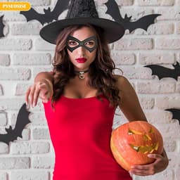 Dailygoody - Catwoman Masker en Choker Set - 4 Stuks Dames Kostuum - Zwart - Halloween Cosplay - Perfect voor Feesten - Inclusief Choker — thumbnail 4