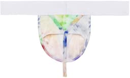 WOH heren microfiber G-string sexy fun multi — thumbnail 3