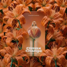 Smooth Condooms - 24 Stuks - Premium Kwaliteit - Discrete Verzending - Climax Change — thumbnail 21