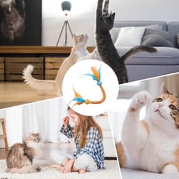 Kattenspeelgoed met veren, bijttouw voor kattenspeelgoed, veertouwspeelgoed met kat, teaser voor verveelde kittens, kleine en middelgrote kittens — thumbnail 4