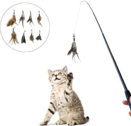 8 stuks veerspeelgoed voor katten, interactief speelgoed voor katten met reserveveren, speelgoed voor katten, veren, interactief speelgoed voor katten en kittens — thumbnail 5