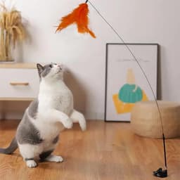 5 stuks reserve-kattenspeelgoed, kattenspeelgoed, veerspeelgoed voor katten, kattenhengel, inclusief navullingen voor natuurlijke kattenveren — thumbnail 3