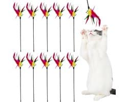 10 stuks kattenhengel, kattenspeelgoed, speelgoed voor katten, kattenhengel, speelgoed, kleurrijke kattenspeelgoed, veren, speelgoed voor katten met bel, voor katten