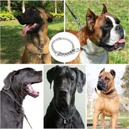 Thijox - Verstelbare Hondenketting 65 cm - Roestvrijstalen Metalen Halsband voor Grote en Middelgrote Honden - Veilig en Duurzaam voor Wandelen en Tra — thumbnail 4