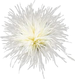 Veren, korsetten, stoffen decoraties, struisvogelveer-materiaal, brochespennen, veer-pins voor dames en heren, Detailgröße in den Bildern, veer — thumbnail 1