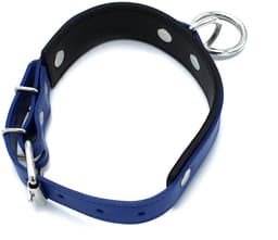 Kiotos - Zwart/Blauwe Lederen Collar met Grote O-Ring — thumbnail 2