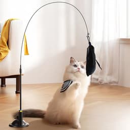 Spelen met veren voor katten, interactief kattenspeelgoed, interactief kattenspeelgoed met zuignap, voor binnen trainen — thumbnail 4