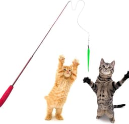 Kattenspeelgoed, intrekbaar natuurlijk veerstaafje, kattenspeelgoed met 5 stuks kattenhengel, vervangende worm, kattenspeelgoed — thumbnail 5