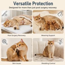 2-delig kattenbody voor katten, na kastratie, sterilisatie, weigeren, anti-rimpel beschermend pak voor buikwonden - Space (S) — thumbnail 5