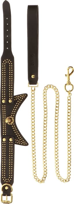 Studded Collar and Leash — thumbnail 5